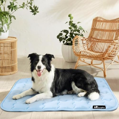luciphia wasserdichte Kühlmatte Hunde Katzen, Selbstkühlende Hundematte | Sommer Kühlkissen Waschbar Hundebett,Kühldecke für Groß Mittel Klein Welpen für tragbares für drinnen,als Couch,Kistenauflage