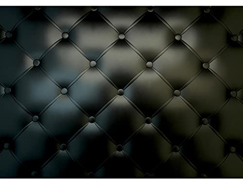 Runa Art Papier peint intissé cuir Deluxe 352 x 250 cm Toison Mur XXL Tableaux Muraux Tapisserie Photo Décoration Murale Salon Chambre noir 9016011a