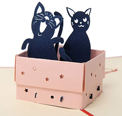 Favour Pop Up® - 3D Glückwunschkarte zum Geburtstag mit fröhlichen dreidimensionalen Katzenmotiven TB016