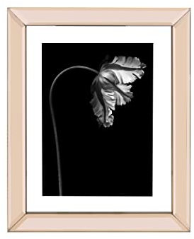 Mikasa 6 x 8 Inch Hanging Mirror Frame, Displays 5 x 7 Photo, Rose Gold