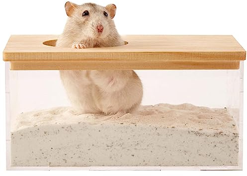 Disnace Bain Hamster Salle Grande Entrée, Salle Bain Hamster Transparente, Salle de Bain à Sable pour Hamster, Toilette Salle Bains Sable Hamster, Petite Baignoire Animaux Compagnie