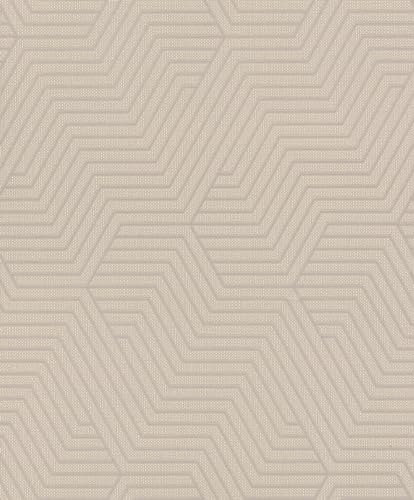 Rasch Tapete 312522 - Helle Vliestapete in Grau mit geometrischem Muster aus feinen Linien aus der Kollektion Deco Style