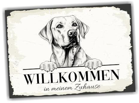 siviwonder Hundeschild Willkommen Zuhause Labrador Labby No.1 Dog Schild Spruch Türschild Warnschild Geschenkidee schöner Spruch Hundemotiv Aluminium Wetterfestes Hundeschild