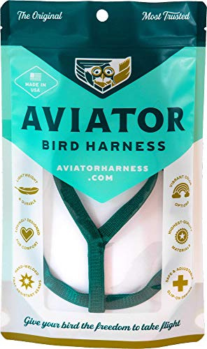 Das Aviator Vogel Geschirr & Lein – Made in America