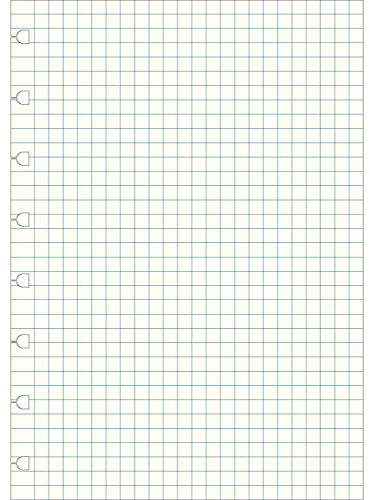 Nachfüllung für Notebook A5 kariertes Notizpapier von Filofax