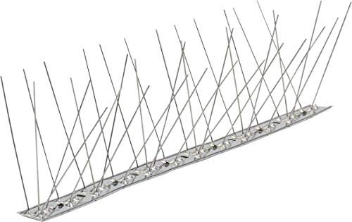25 MT DISSUASORI Inox 80 spilli per x piccioni volatili Uccelli colombi spilli
