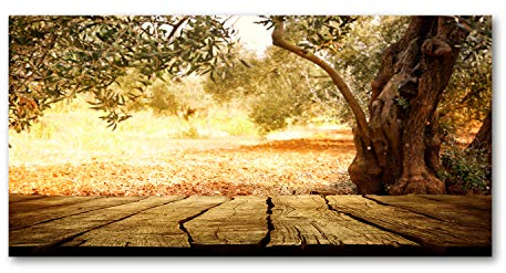Tulup Leinwandbild - Wandkunst - Drucke auf Leinwand - Leinwanddruck -100x50 cm - Landschaften - Braun - Olivenbaum