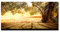 Tulup Leinwandbild - Wandkunst - Drucke auf Leinwand - Leinwanddruck -100x50 cm - Landschaften - Braun - Olivenbaum