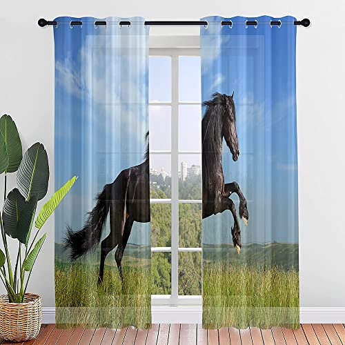 Hiseng Voile Vorhänge mit Ösen Durchsichtig Moderne Halbtransparent Ösenvorhang für Fenster Wohnzimmer Schlafzimmer 3D Druck Elegante Transparent Gardine 2er Set (W55xH95cm,Pferd Muster 5)