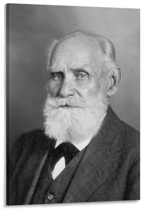 Ivan Pavlov Poster, Kunstdruck, Wandfoto, Malerei, Poster, hängendes Bild, Familiendekoration, 30 x 45 cm