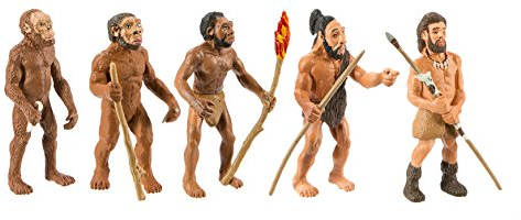 Safari SAF-381 Figuren-Set: Die menschliche Evolution