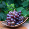 150 pcs weinreben kaufen winterhart samen - Vitis vinifera - geschenk garten, hochbeet samen weinrebe trauben pflanzen sukkulenten winterhart, pflanzen samen indoor balkon pflanze,