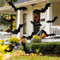Renyigou 12 Stück Halloween hängende Fledermäuse schwarze fliegende Fledermaus hängende Dekorationen mit leuchtenden Augen für Fenster zu Hause, Halloween, Outdoor, Hof, Innen- und Außenbereich,