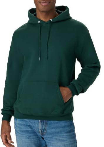 Hanes mens Pullover Ecosmart Hooded athletic sweatshirts, Deep Forest, 3X-Large US