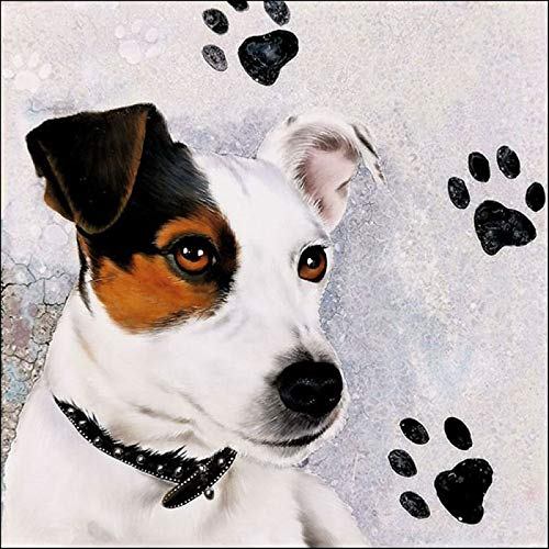 Ambiente Serviette Lunch 33x33 cm Motiv: JACK RUSSEL - Jack Russel 20 Stück pro Packung