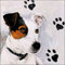 Ambiente Serviette Lunch 33x33 cm Motiv: JACK RUSSEL - Jack Russel 20 Stück pro Packung