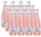 Käfer Wild Berry (12 x 0,2l)