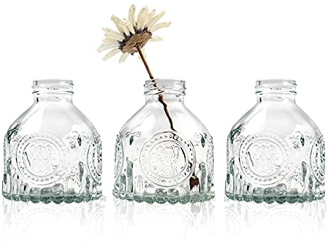 3 Pack Glass Bud Vase for Flowers Small Glass Vase for Table Decoration Home Party Decoration Transparent