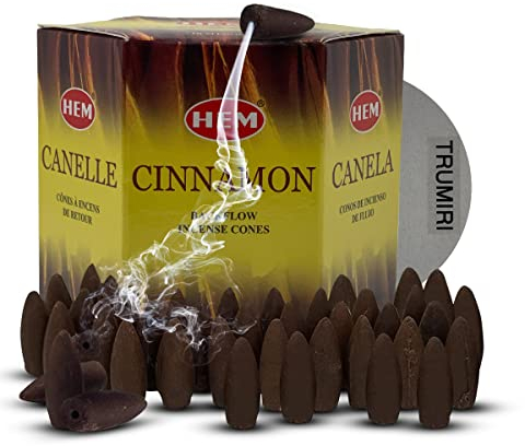 Cônes d'encens à refoulement à la cannelle pour cascade, fumée aromatique, fontaine, brume