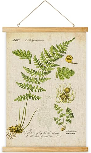GoojiuDa Vintage-Poster, ästhetische, rustikale Kunstdrucke, niedlicher farbenfroher Wandbehang mit Naturholzrahmen für Wohnzimmer, Klassenzimmer, Dekoration, 40,6 x 61 cm (Farn)