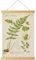 GoojiuDa Vintage-Poster, ästhetische, rustikale Kunstdrucke, niedlicher farbenfroher Wandbehang mit Naturholzrahmen für Wohnzimmer, Klassenzimmer, Dekoration, 40,6 x 61 cm (Farn)