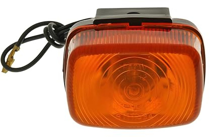 Blinker vorn/hinten für Booster, BWs 50, Giggle