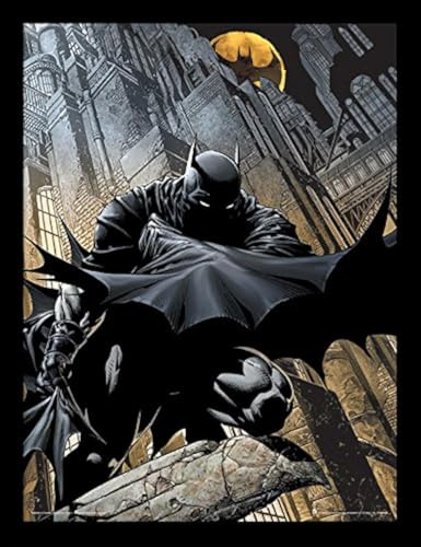 DC Comics FP11603P-PL Batman 30 X 40 cm Night Watch Framed Print, Black