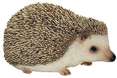 Gardening Delights Pet Pals Pygmy Hedgehog