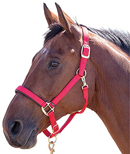 TOPAZ NYLON HEADCOLLAR: RED: SMALL PONY