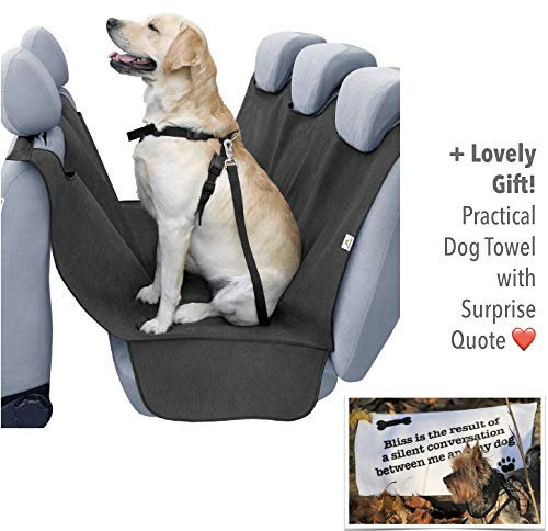 Kegel-Blazusiak Transporter Hunde Geeignet für Gürtel
