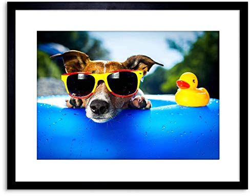 Wee Blue Coo Photo Jack Russell Beach Dog Rubber Duck Art Print Framed Poster Wall Decor 9x7 inch