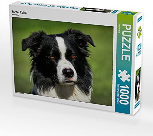 CALVENDO Puzzle Border Collie 1000 Teile Puzzle quer | Lege-Größe cm Foto-Puzzle für glückliche Stunden