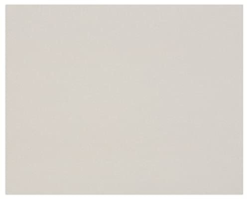 Clairefontaine 93995C Packung (mit 5 Bögen Pappe, 50 x 65 cm, 3 mm, 1950 g, ideal für Modellbau, leicht und glatt, 100% recycelt) 5er Pack grau
