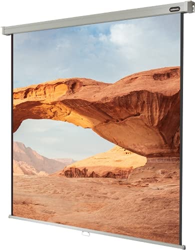 Celexon Leinwand Rollo Professional 200 x 200 cm