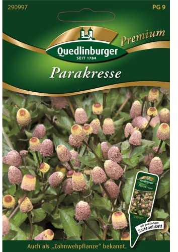 Parakresse, Spilanthes oleracea, ca. 100 Samen