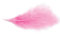 Chaks 0702-04, Sachet 10g de 100 Plumes 5-10cm, Rose