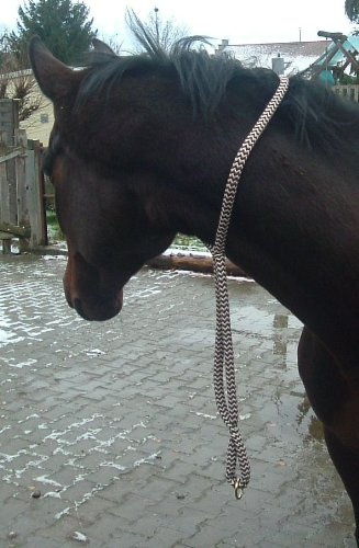 Halsring aus Baumwolle - Pferdering - Wanderreiten braun/Natur Gr. Full