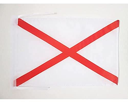 AZ FLAG - Drapeau Croix de saint Patrick - 45x30 cm - Pavillon Paddy'S Cross 100% Polyester Avec Deux Cordelettes - 20g