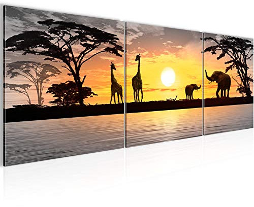 Runa Art - Bilder Afrika Sonnenuntergang 120 x 40 cm 3 Teilig Wandbild auf Vlies Leinwand Grau Orange Mehrteilig Modern 000233c