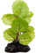 Imagitarium Betta Plant, Small