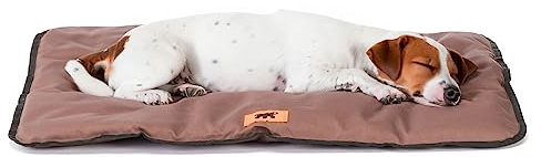 Ferplast Cuccia Cane e Gatto Antigraffio e Impermeabile, Tessuto Tecnico Resistente Tech, JOLLY Taglia Piccola, Materassino Lavabile a Mano a 30°, 65 x 48 x 3,5 cm, Marrone