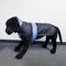 Wallace & Jones | Hundemantel Eisbär - Perfect Coat Blau-Blau Rückenlänge ca. 80cm