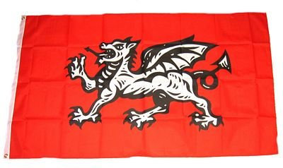 Flagge Fahne England weißer Drache 90 x 150 cm FLAGGENMAE®