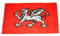 Flagge Fahne England weißer Drache 90 x 150 cm FLAGGENMAE®