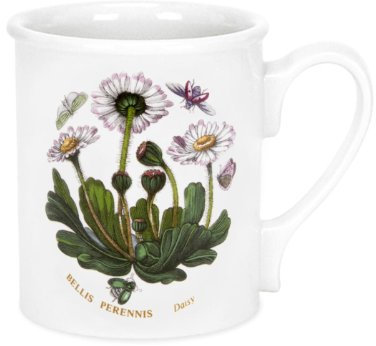 Portmeirion Botanic Garden - Breakfast Mug - Daisy