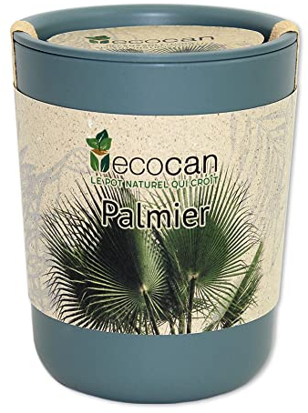 Feel Green Ecocan, Palmier Exotics, Idée Cadeau (100% Biodégradable), Grow-Your-Own/Kit Prêt-à-Pousser, Le Pot Écologique Qui Croît 9 x 7 cm, Produit en Autriche