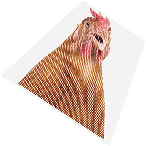 Supvox Lustige Autofenster Aufkleber 3d Hahn Muster Auto Aufkleber Auto Aufkleber Set