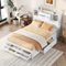 Ctastay Kinderbett Stauraumbett 140x200 cm, Bett Flachbett Doppelbett mit 2 Stauraumfächern & 8 Schubladen Stauraum, Jugendbett Holzbett Lattenrost, Weiß (Ohne Matratze)