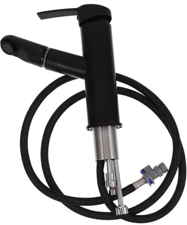 DIYEAH Rubinetto e Bagno Estraibile con Doccetta Flessibile Miscelatore Moderno Inossidabile per Lavello e Lavabo Design Elegante per Domestici