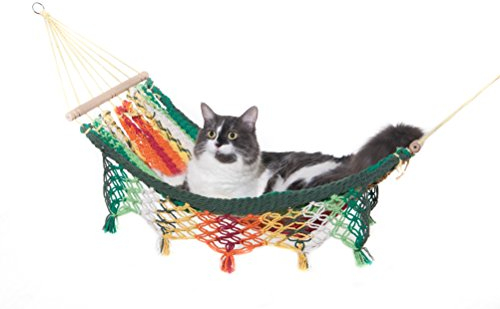 TouCan Hammocks Organic Cotton Cat Hammock Bed Pet Swing Cradle Monteverde Design